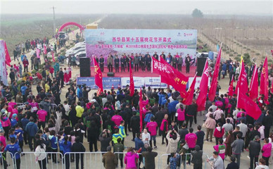 西華縣第十五屆桃花節(jié)盛大開(kāi)幕 2500人馬拉松開(kāi)跑點(diǎn)燃春日激情